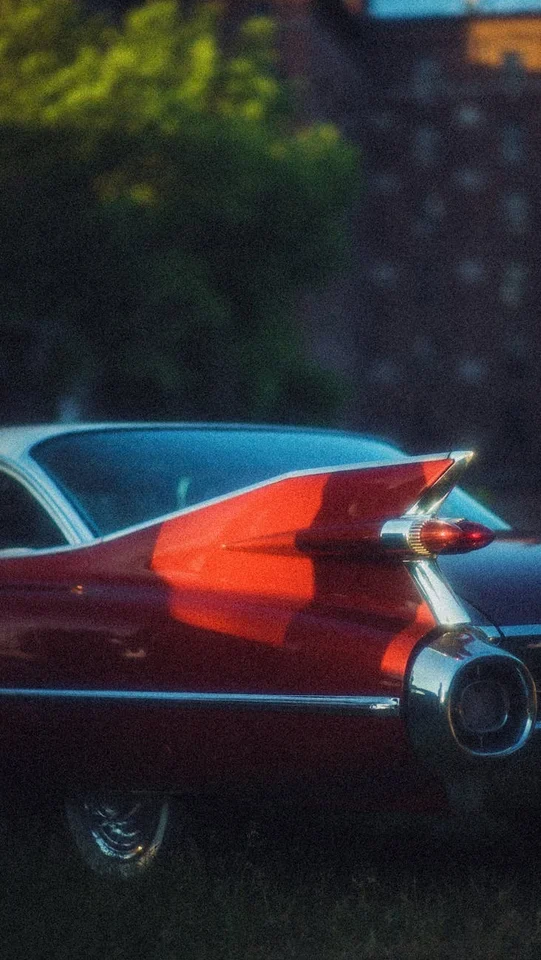 Займ за 30 минут: обзор популярных МФО