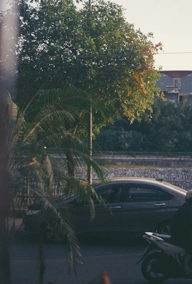 Словарь терминов: Штрафные санкции МФО